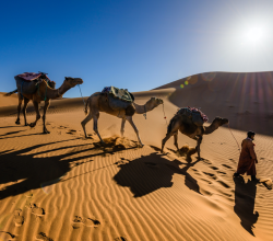 Événements Sportifs au Maroc